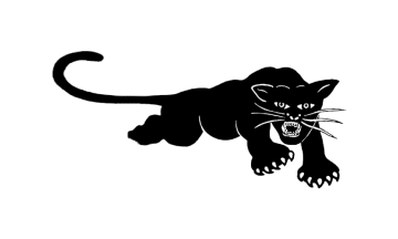 Black and White Panther Logo - Black Panthers Party (U.S.)