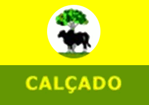 Green and Yellow BR Logo - Calçado, Pernambuco (Brazil)