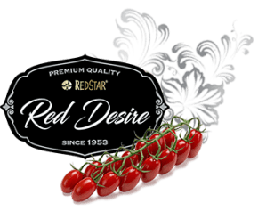 Red Desire Logo - RedStar Red Desire RedStar