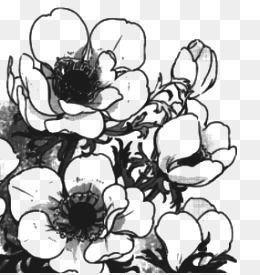 Flowers Black and White Logo - Black And White Flowers PNG Images | Vectors and PSD Files | Free ...