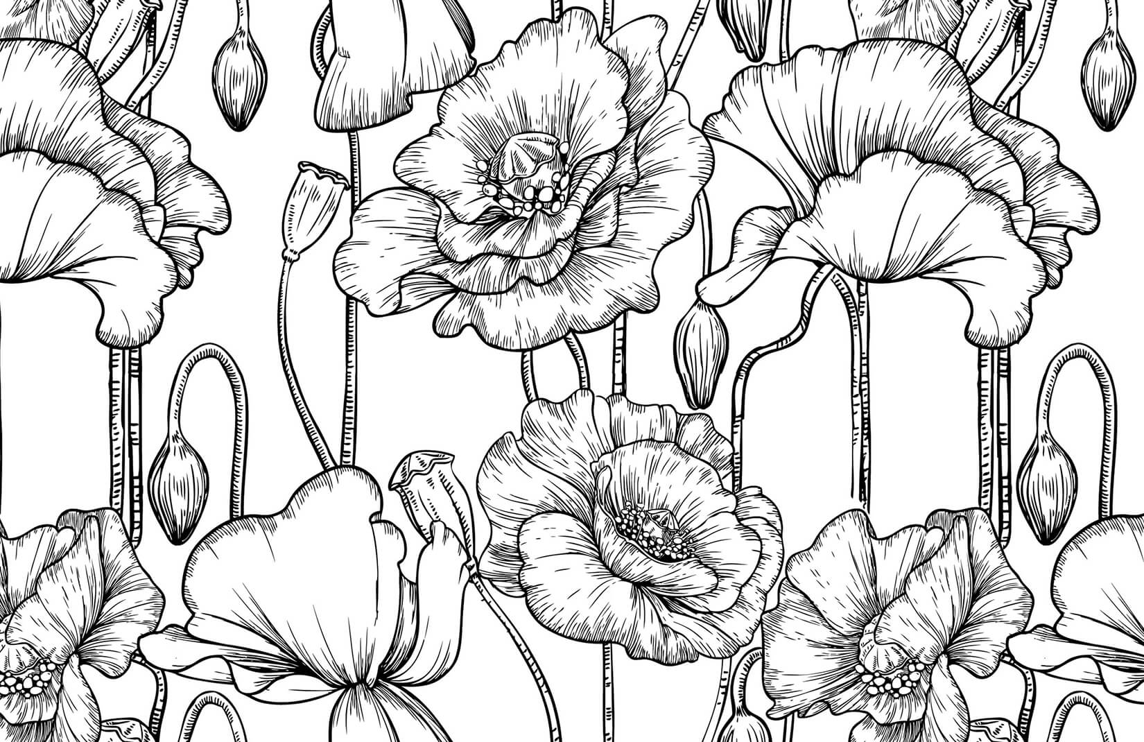 Flowers Black and White Logo - Black and White Illustrated Flowers Mural. MuralsWallpaper.co.uk