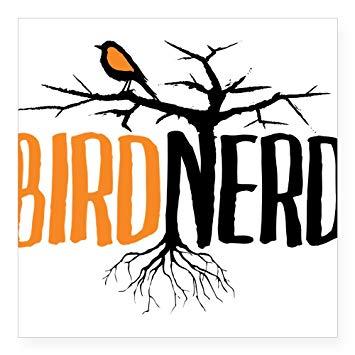 Orange Bird Black Car Logo - Amazon.com: CafePress Bird Nerd (Black and Orange) Sticker Square ...