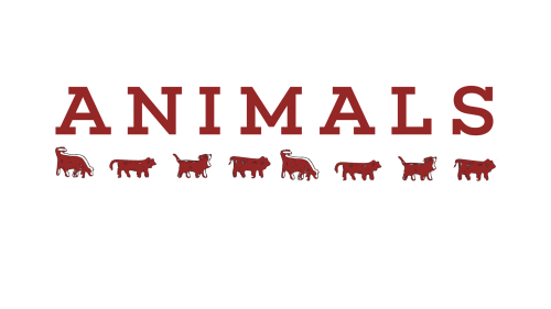 Bally Switzerland Logo - ANIMALS - Interview with Director, Benjamin Simmons • Kindle Project