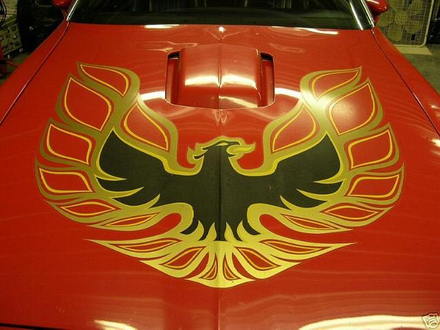 Orange Bird Black Car Logo - Hood Birds