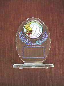 Torch On Blue Oval Logo - team lot of 9 VOLLEYBALL torch trophies acrylic award oval blue trim ...