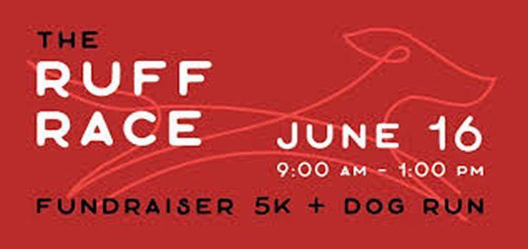 Ruff Race Logo - SECCA to Hold a Ruff Race 5k + Dog Run Fundraiser
