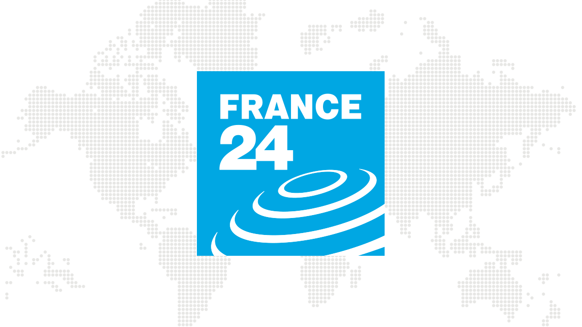 Red Bird with a French Company Logo - International breaking news and headlines - France 24