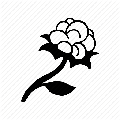 Fabric Flower Logo - Cotton, cotton flower, fabric, flower icon