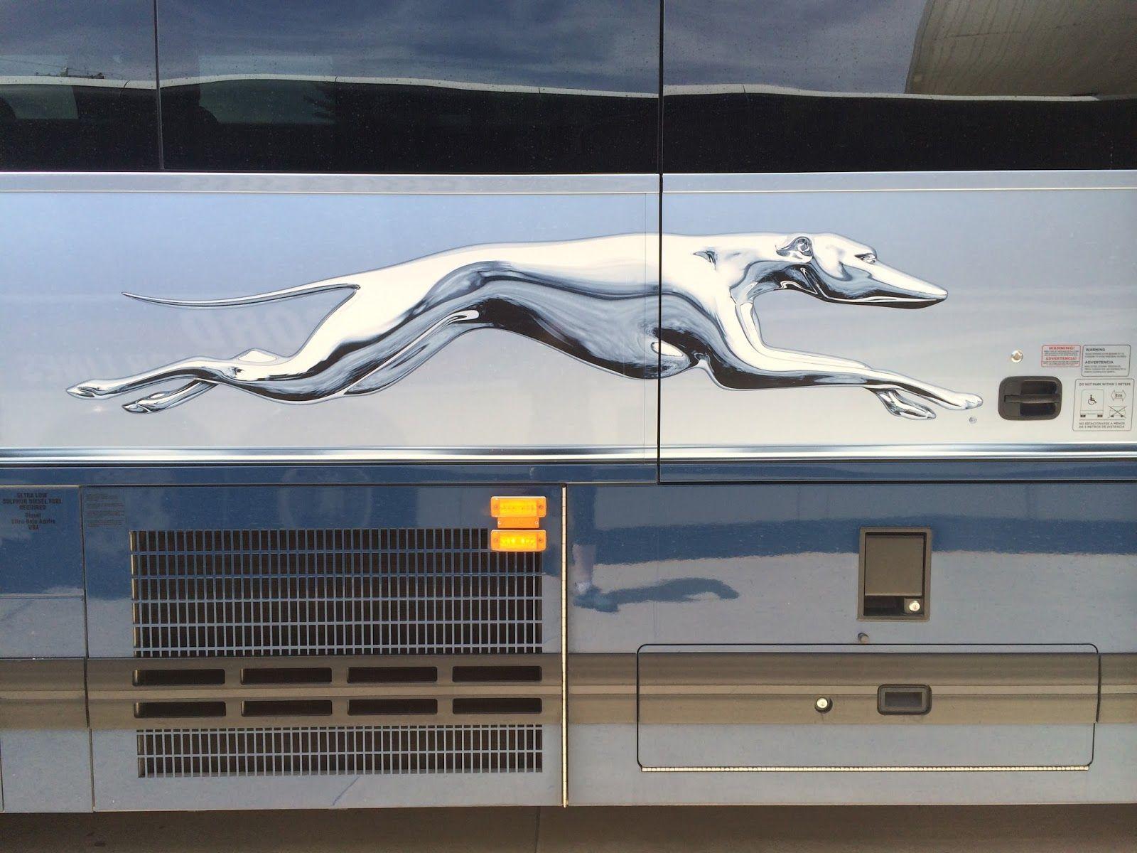Silver Dog Logo - Tina's Travels: The View from Here: Bangor by Bus