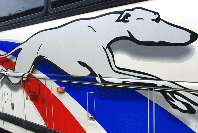Silver Dog Logo - 100 Years on a Dirty Dog: The History of Greyhound | Mental Floss