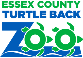 Green Red-Orange Zoo Logo - Turtle Back Zoo. The World In Your Backyard