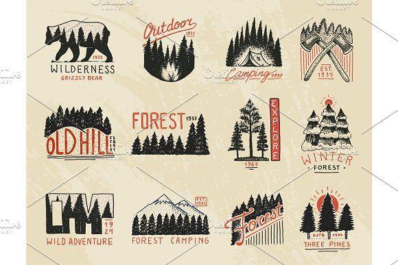 Vintage Camp Logo - camp logo, mountains coniferous forest badges. engraved hand drawn ...