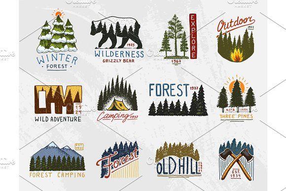 Vintage Camp Logo - camp logo, mountains coniferous forest and wooden badges. engraved ...