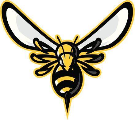 Insect Sports Logo - Hornets Logos