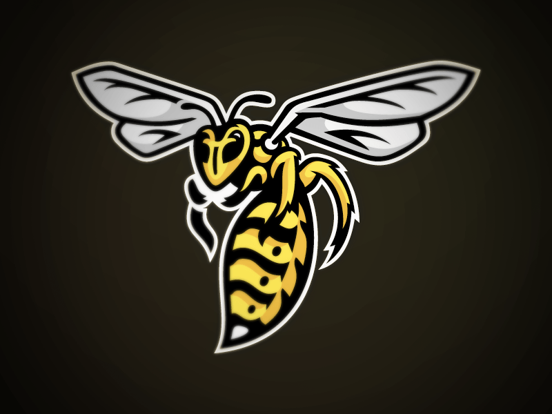 Insect Sports Logo - Fairview Yellow Jackets | Sports logo's | Pinterest | Logos, Sports ...