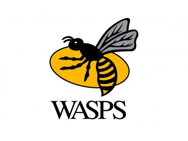 Insect Sports Logo - Gullivers buzzing with Wasps | Gullivers Sports Travel