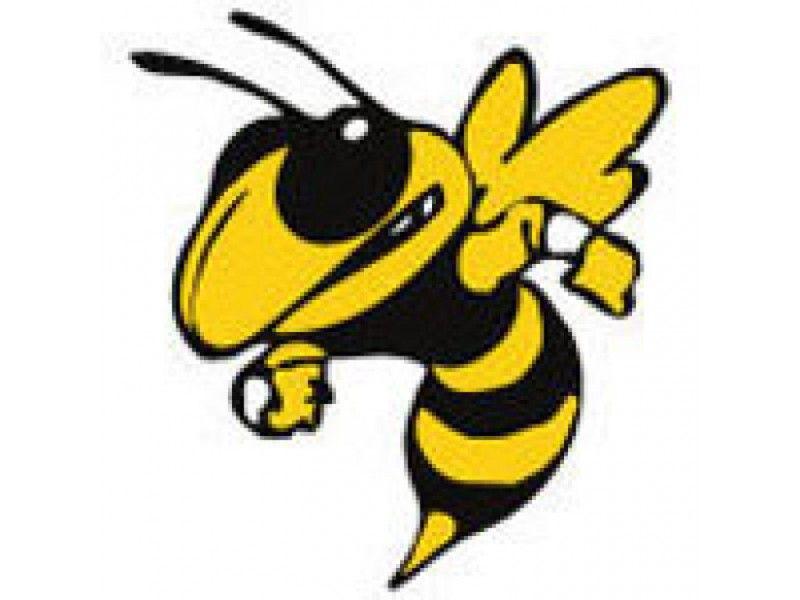 Insect Sports Logo - EHS Sports Events for Jan. 15 to Jan. 19. Enumclaw, WA Patch