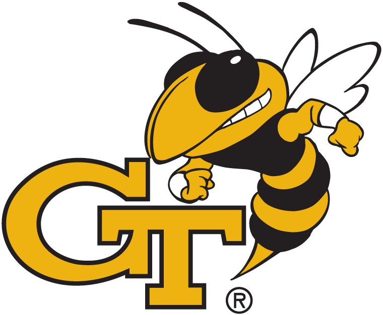 Insect Sports Logo - Georgia Tech Yellow Jackets Secondary Logo Division I D H