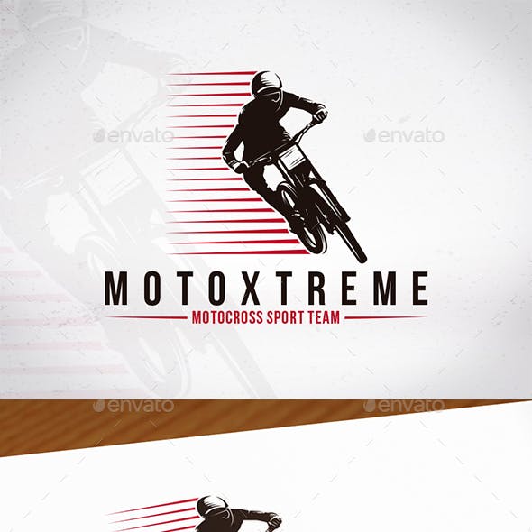Insect Sports Logo - Moto Sports Logo Templates from GraphicRiver