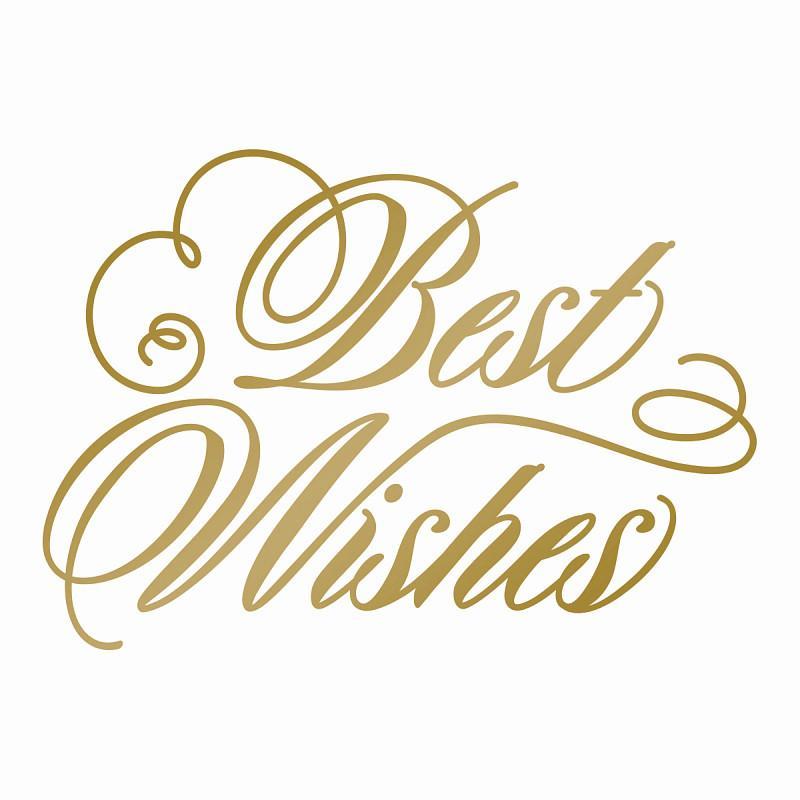 Best Wishes Logo - Anna Griffin Hotfoil Stamp Best Wishes - Sweet Lilac