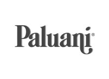 Paluani Logo - Clients