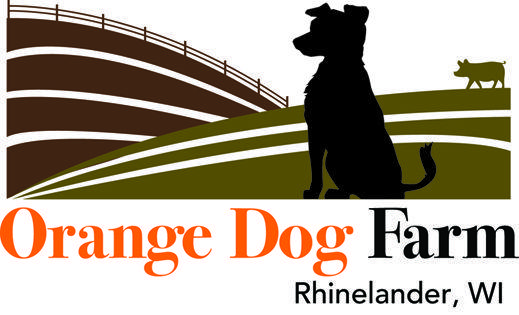 Orange Dog Logo - Orange Dog Farm