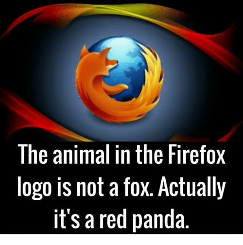 Red Firefox Logo - The Animal in the Firefox Logo Is Not a Fox Actually It's a Red ...