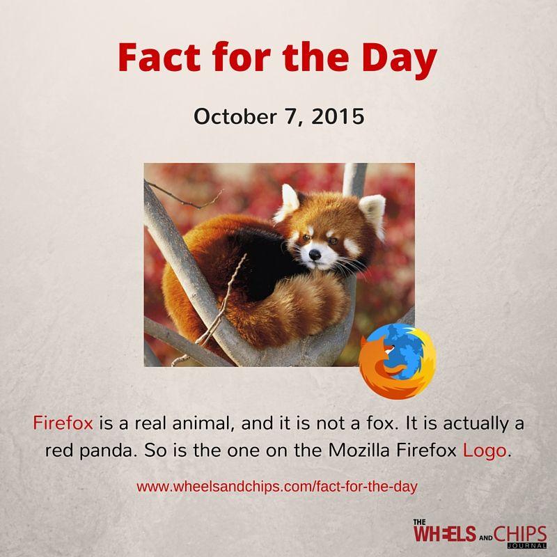 Red Firefox Logo - 7 - Firefox Logo - Tech Facts | The Wheels and Chips Journal
