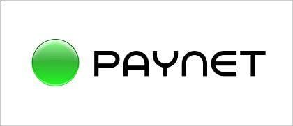 Paynet Logo - Логотип ООО «PAYNET»