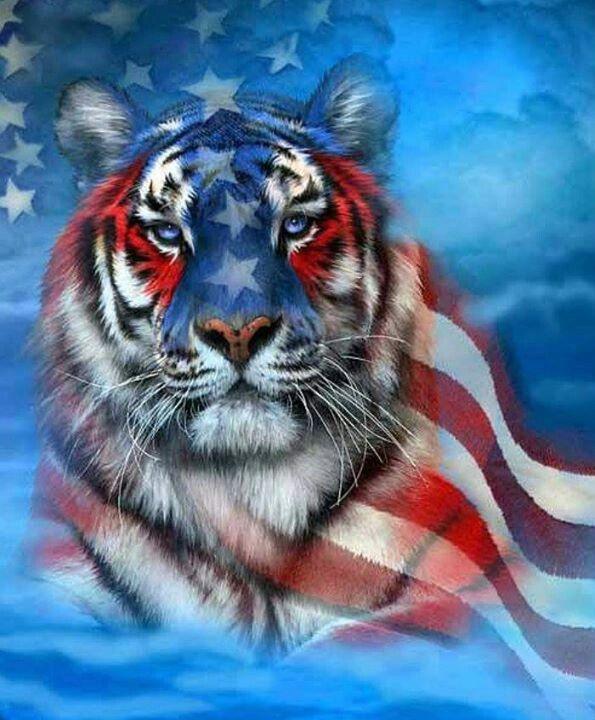 Red and Blue Tiger Logo - Red, White and Blue Tiger.. Stars and Stripes