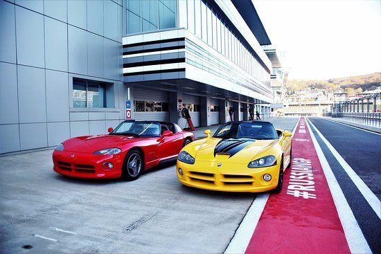 Viper Club of America Logo - Dodge Viper Club of America Edition и Dodge Viper первого поколения ...