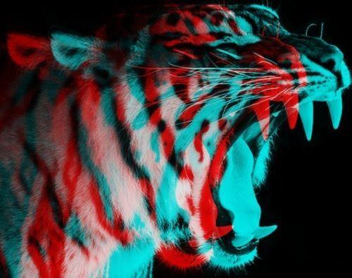 Red and Blue Tiger Logo - Image about black and white in //\\
