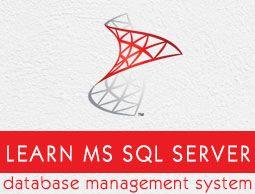 Microsoft SQL Server Logo - MS SQL Server Management Studio