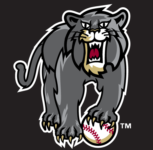 Sacramento River Cats Logo LogoDix