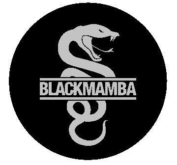 Mamba Snake Logo - Black mamba Logos
