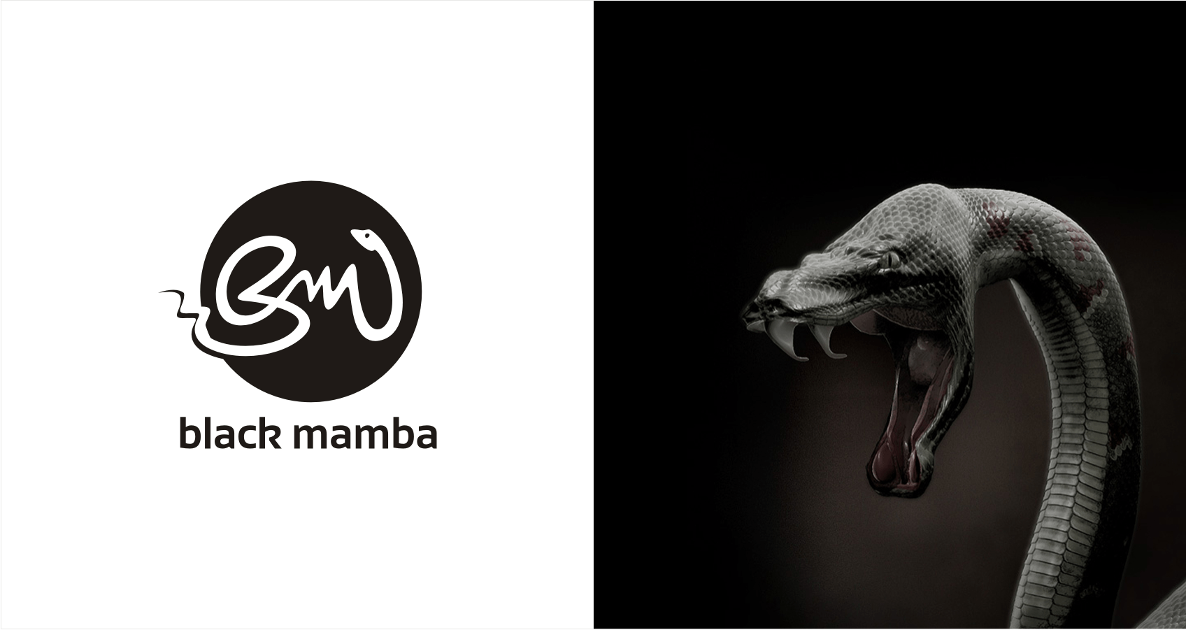 Mamba Snake Logo - Logo Design for 'Black Mamba © by KAYA graphics all right reserved ...