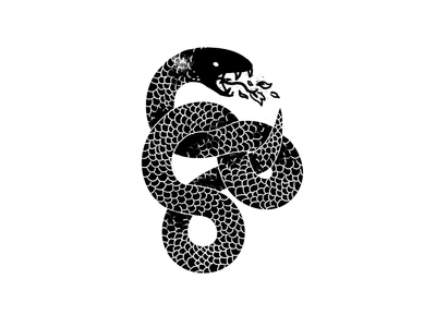 Mamba Snake Logo - Black Mamba. Art + Illustration. Black mamba, Illustration, Tattoos