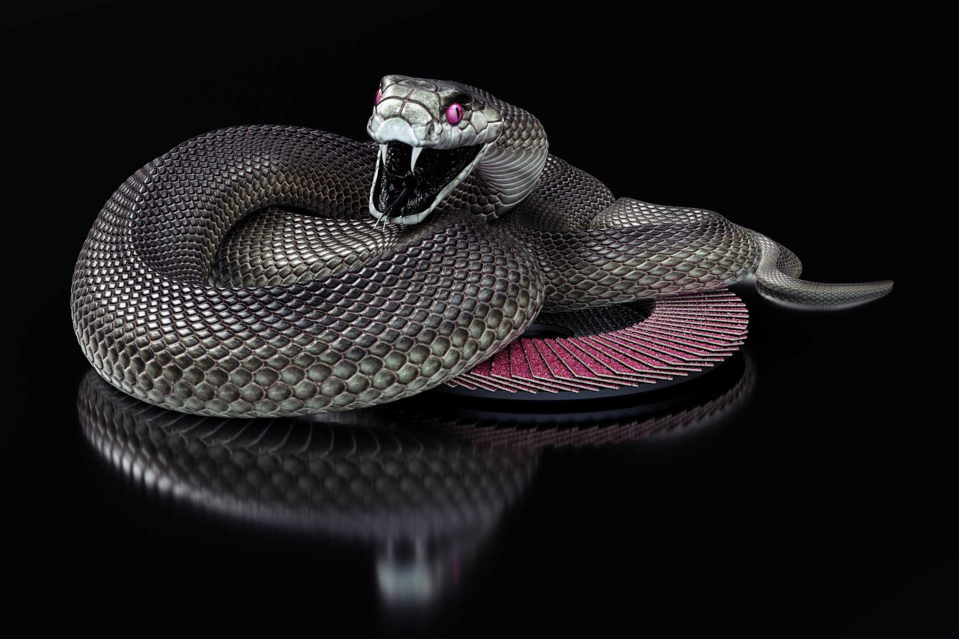 Mamba Snake Logo - Black Mamba Wallpapers - Wallpaper Cave