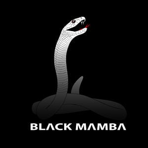 Mamba Snake Logo - Blackmamba Project on Vimeo