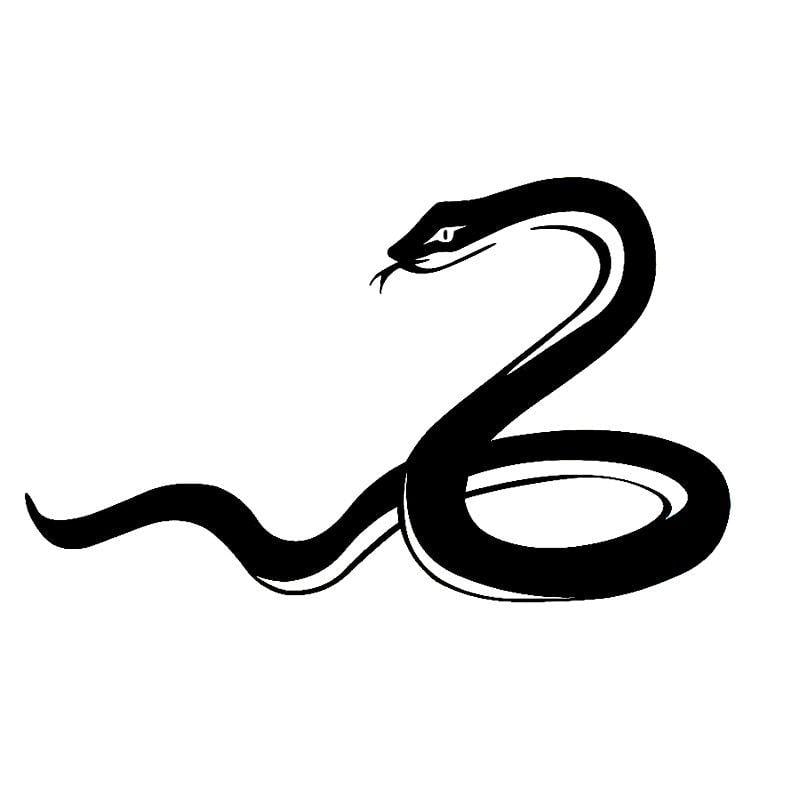 Mamba Snake Logo - 16cm*9.7cm Fashion Animal Mamba Snake Vinyl Decal Car Window Sticker