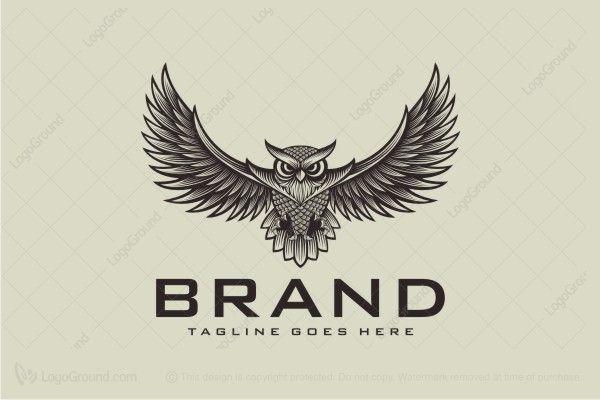 Wise Owl Logo - Exclusive Logo 26783, Wise Owl Logo | Owls | Oiseaux