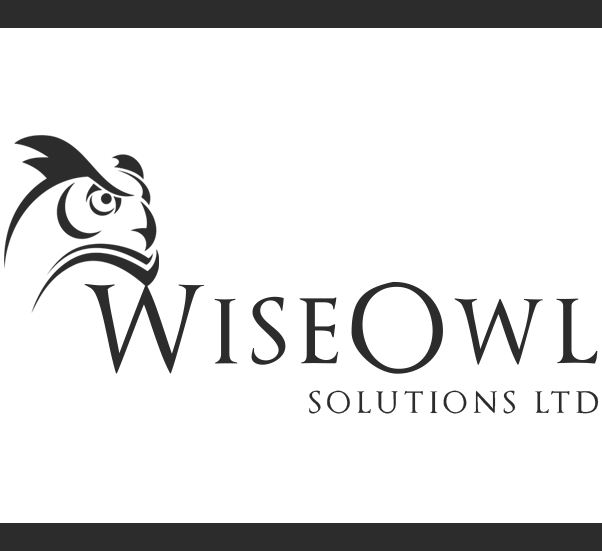 Wise Owl Logo - Wise Owl Solutions