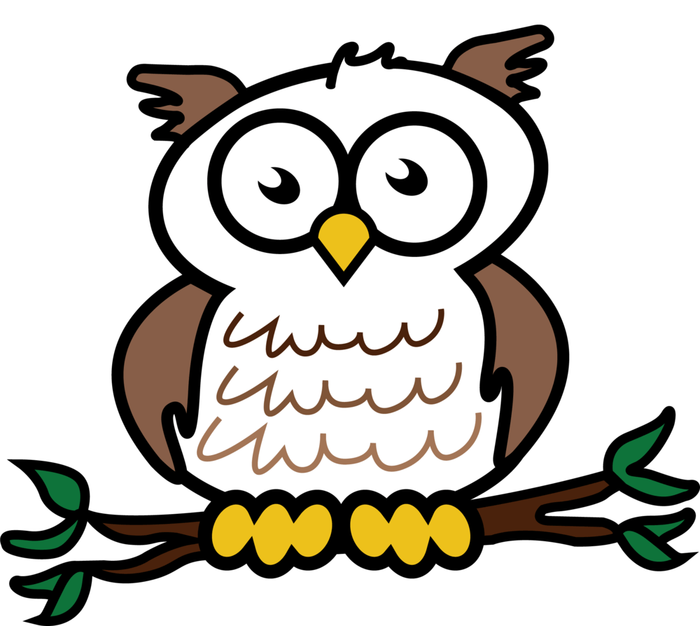 Wise Owl Logo - Tuition Payment