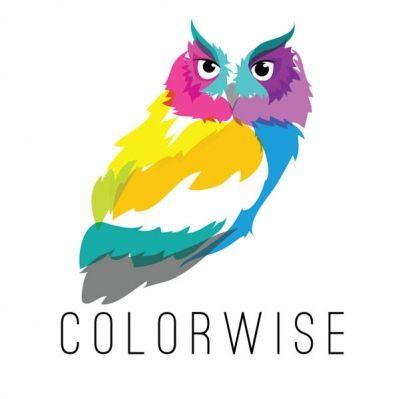 Wise Owl Logo - Color Wise Owl | Logo Design Gallery Inspiration | LogoMix