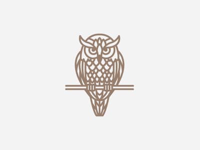 Wise Owl Logo - 22 Owl Logos That Will Leave You Hooting
