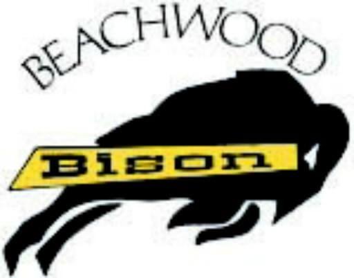 Beachwood Bison Logo - Beachwood's 'Fab Five' has three weekends to live up to hype: High ...