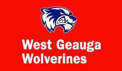 Beachwood Bison Logo - West Geauga vs. Beachwood boys soccer: Wolverines master humidity