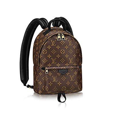 Louis Vuitton Urban Logo - Authentic Louis Vuitton Monogram Canvas Palm Springs Backpack PM ...