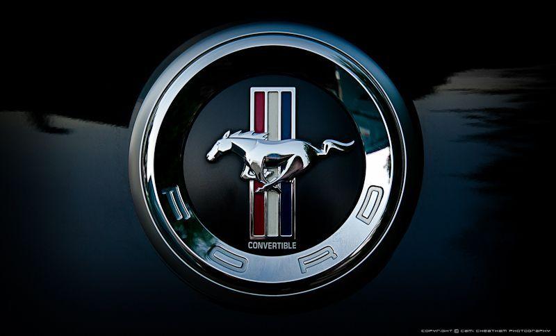 Cool Mustang Logo - ford art | Ford Mustang Logo by ~Shelagnoa on deviantART | Cool ...