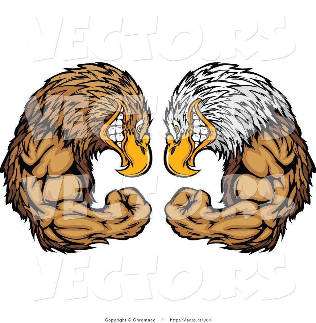 Buff Eagle Logo - Golden eagle vs bald eagle fight - Bald